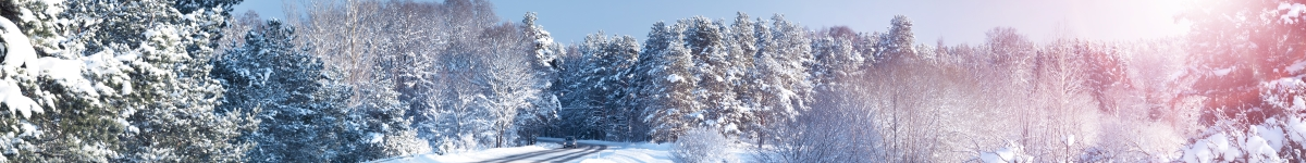 banner vinter vinter väg